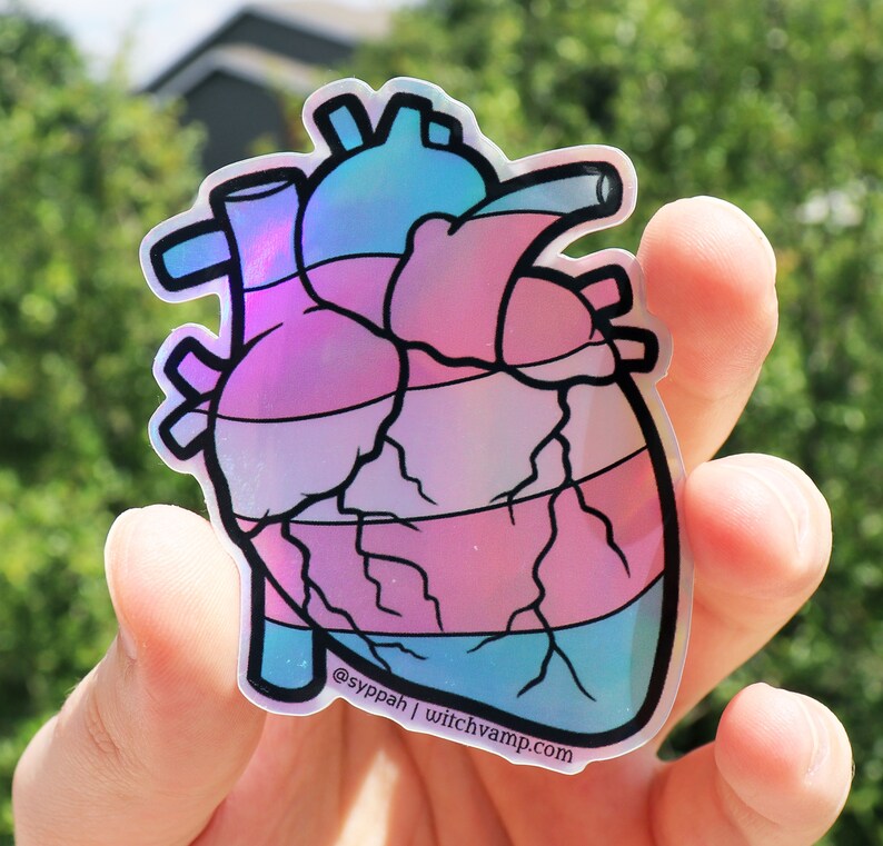 Gay pride lgbt cat stickers gay sticker pack no homo full