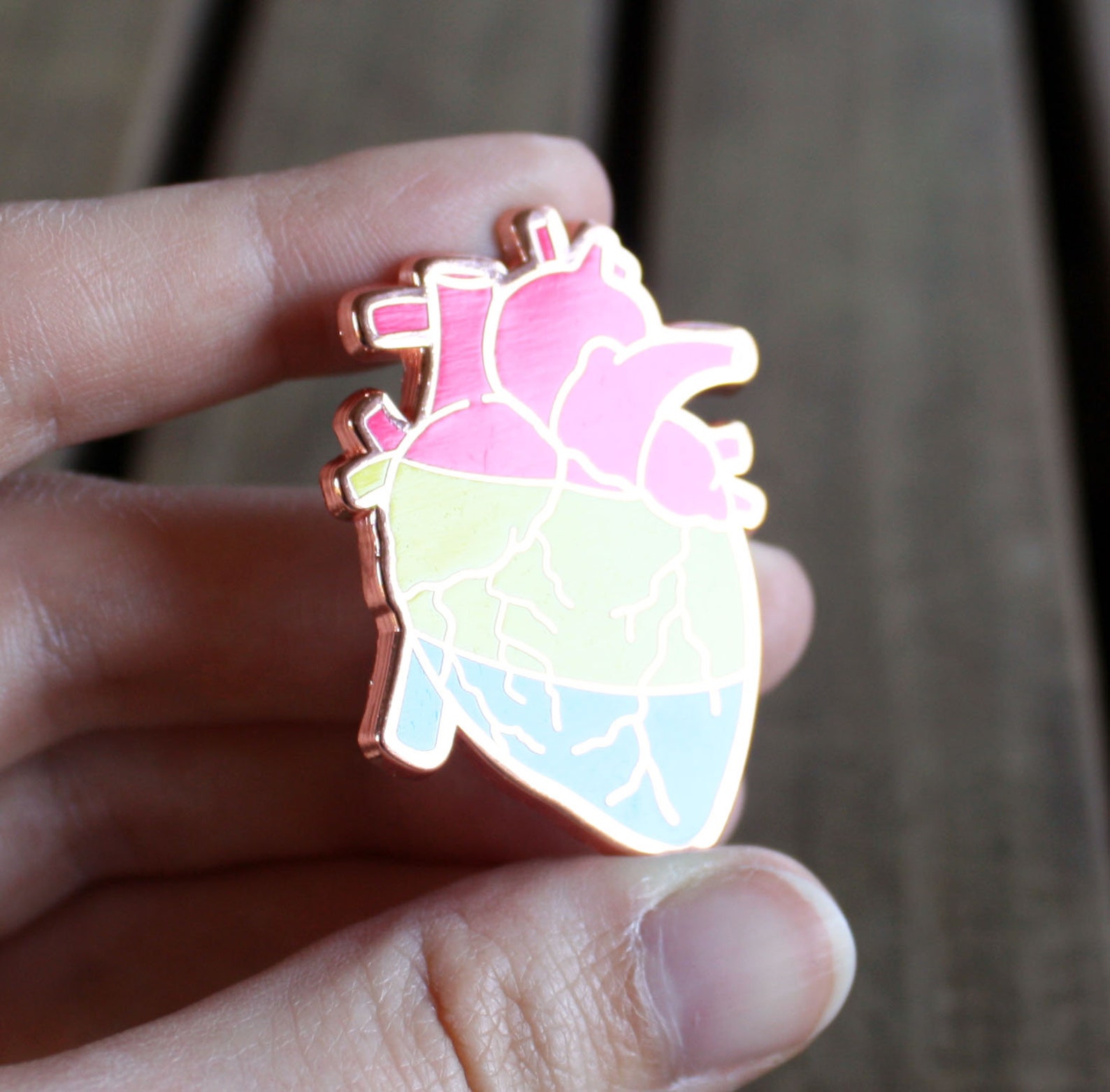 pan pride pins