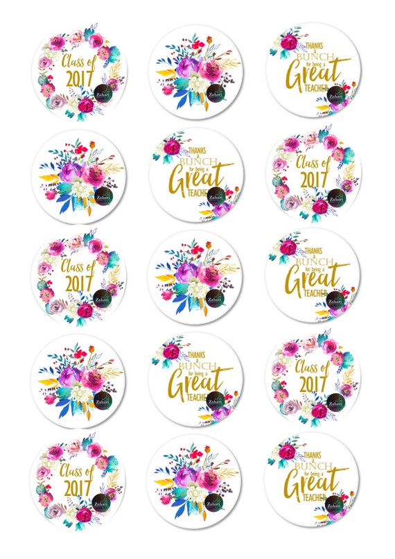 2 Inch Icing Rounds Bluey Edible Toppers 15