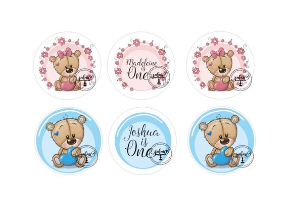 2 Inch Icing Rounds Bluey Edible Toppers 15