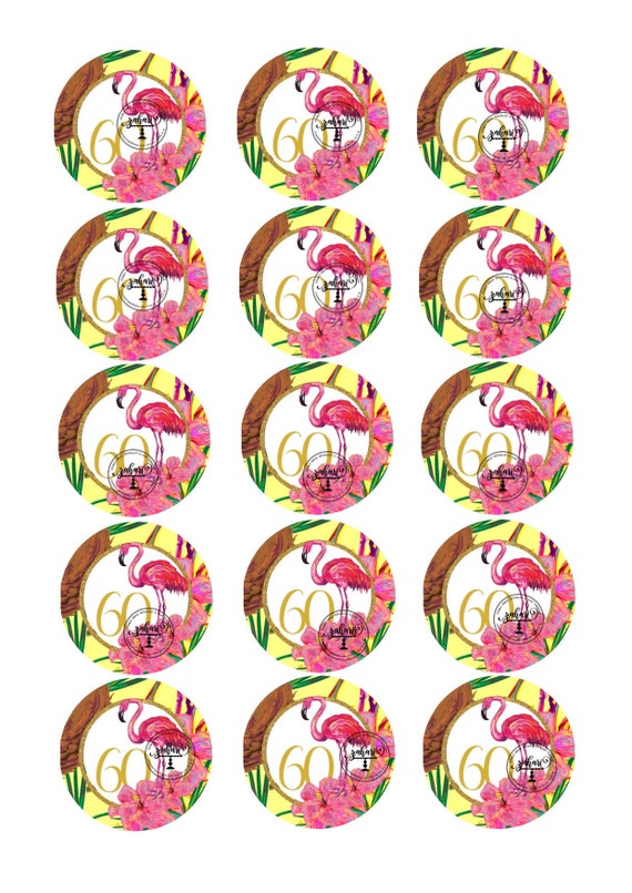 2 Inch Icing Rounds Bluey Edible Toppers 15