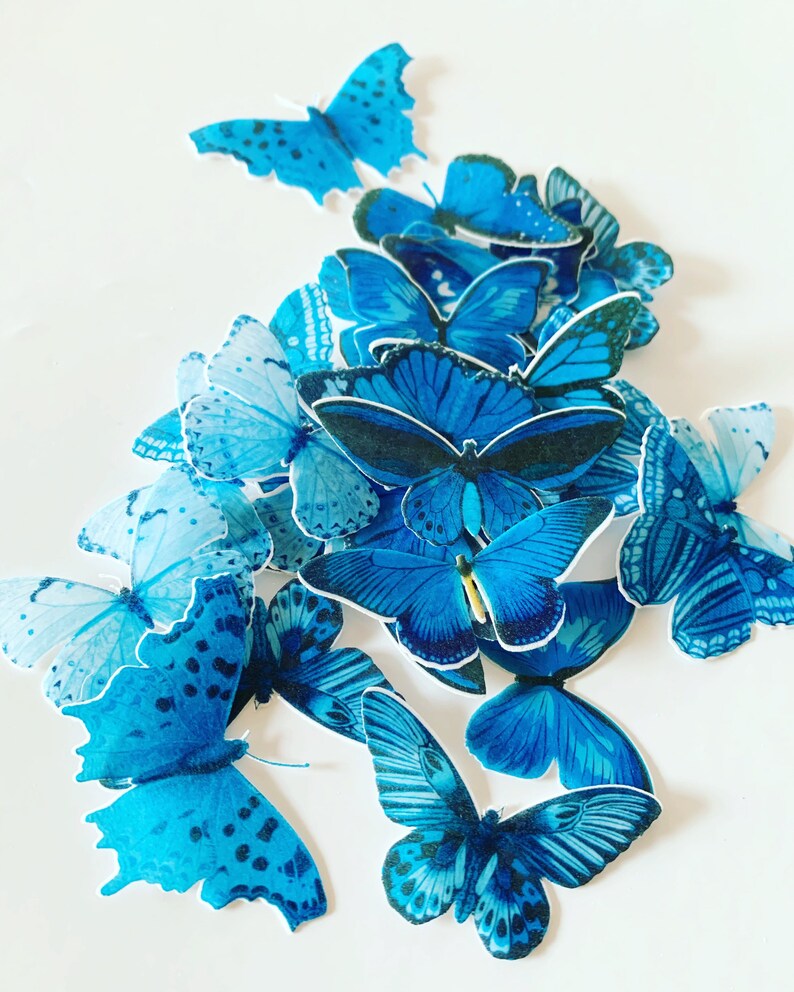 Primary Colours Wafer Paper Die Cut Butterflies Set of 30 Etsy Australia