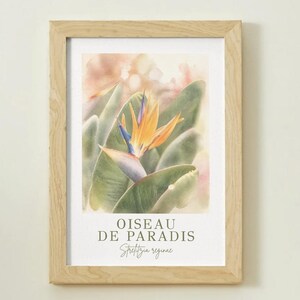 Peut inclure: Une impression botanique encadrée représentant une aquarelle d'une fleur oiseau de paradis avec des pétales orange et bleus et des feuilles vertes. Le texte OISEAU DE PARADIS et Strelitzia reginae est imprimé en gris foncé en bas de l'œuvre.