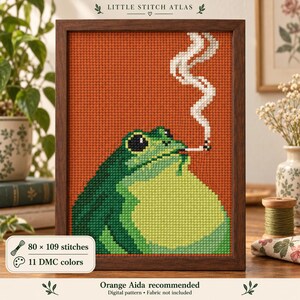 Op de afbeelding: Een kruissteekpatroon in een donkerhouten lijst met een groene kikker met een lichtgroene buik tegen een oranje achtergrond. De kikker houdt een sigaret vast met een sliert witte rook die omhoog kringelt. De tekst bovenaan luidt Little Stitch Atlas.
