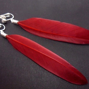 May include: A pair of red feather earrings with silver clip-on backs. The feathers are long and narrow, and the earrings are a statement piece.