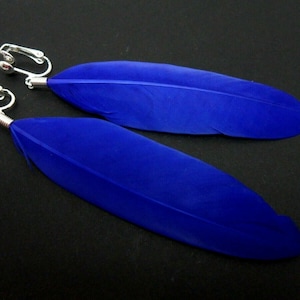 Peut inclure: Une paire de boucles d'oreilles en plumes bleues avec des fermoirs clips argentés. Les plumes sont longues et ont une forme naturelle légèrement incurvée.