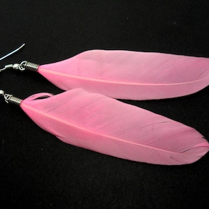 May include: A pair of pink feather earrings with silver hooks. The feathers are delicate and have a soft, fluffy texture.