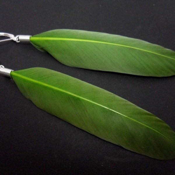 A pair of long green feather dangly leverback hook earrings.