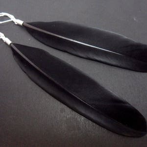A pair of long black feather dangly leverback hook earrings.