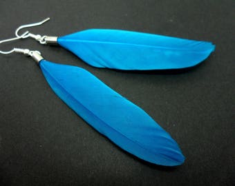 A pair of long blue feather dangly earrings.