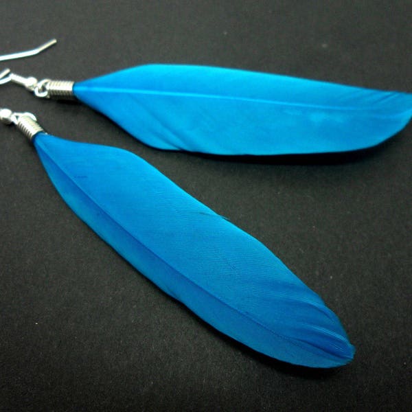 A pair of long blue feather dangly earrings.