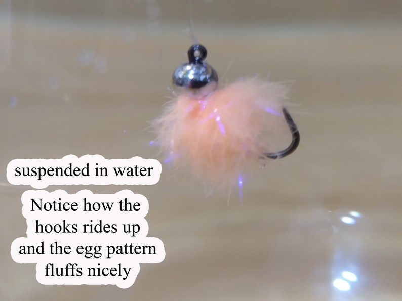 Eggstasy 12 Tungsten bead head Fly Fishing Flies Egg Pattern Etsy