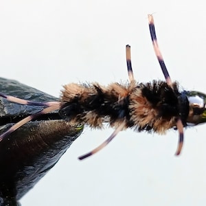 May include: A black and brown fly fishing lure with a silver head and long, thin legs.