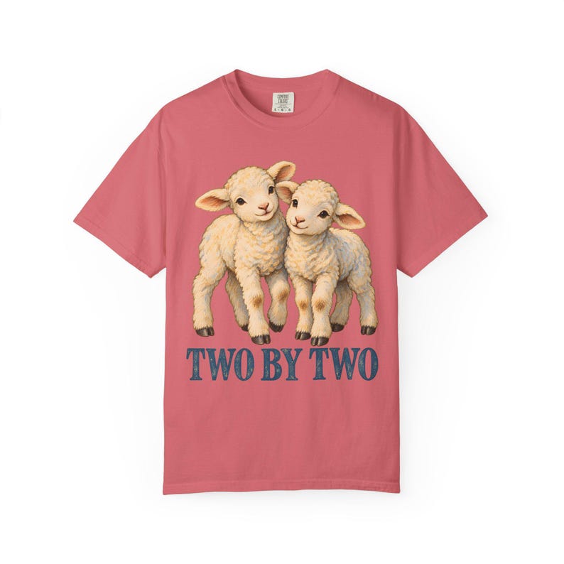 Two by Two Comfort Colors Shirt | Christian Twins T-Shirt | Gift for Twins or Siblings | Vintage Twin Lambs image 9