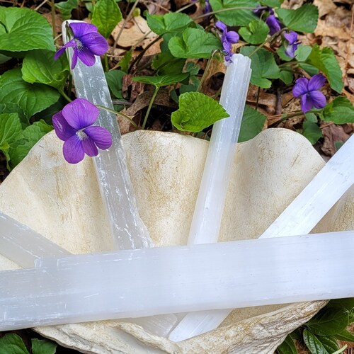 ♦水晶？六角水柱？苔 置物 飾り骨董品 Exotic Wood Jewelry - Etsy