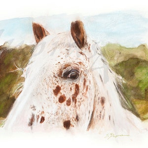 A Horses Eye a Watercolor Portrait Painting Limited Edition Giclee Art Print by Scott Dupras image 2