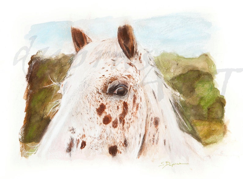 A Horses Eye a Watercolor Portrait Painting Limited Edition Giclee Art Print by Scott Dupras image 2