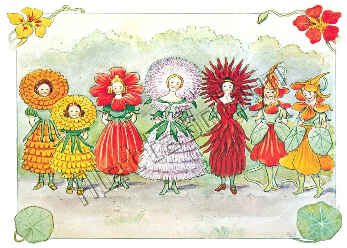繊細なタッチの植物画 2冊セット Elsa Felsko 1960年 Elsa Beskow 1920 Print - Plate 14 