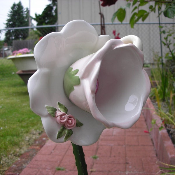 Rose Teacup Flower