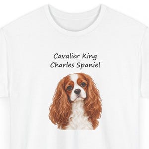Puede incluir: Una camiseta blanca con una ilustraci&oacute;n detallada de un Cavalier King Charles Spaniel con pelaje largo, ondulado, marr&oacute;n y blanco. Sobre el perro, el texto Cavalier King Charles Spaniel est&aacute; impreso en una fuente negra sencilla sin remates.