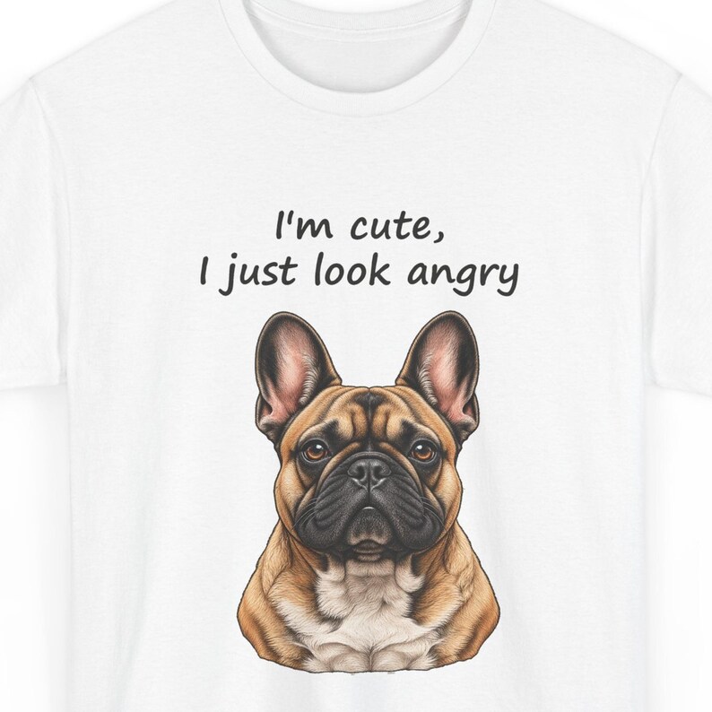 Funny French Bulldog T-Shirt, I'm Grumpy But Look Okay, Frenchie Mom Gift image 1