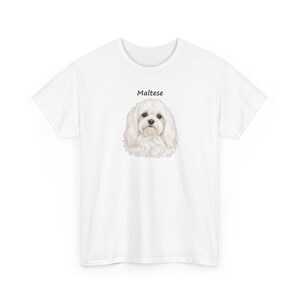 May include: A white short-sleeved t-shirt featuring a centered illustration of a fluffy white Maltese dog. Above the dog, the word Maltese is printed in a simple black sans-serif font. The shirt has a crew neckline and a standard fit.