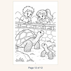 May include: A black and white coloring page featuring a boy and a girl leaning over a stone wall to look at two tortoises. The scene includes a large tortoise and a smaller one on the ground, with bushes in the background and the text Page 12 of 12.