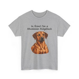 In Front I'm a Rhodesian Ridgeback, Behind I'm a Lion T-Shirt, Two-Sided Ridgeback Owner Gift, African Lion Hound Tee image 6