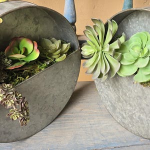 May include: Two circular galvanized metal wall planters with a weathered finish. Each container is filled with an assortment of artificial green and reddish-toned succulent plants nestled in green moss, creating a textured botanical display.