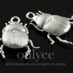 May include: Two silver-toned beetle charms with detailed textured wings and legs. The charms are perfect for adding a unique touch to jewelry or crafts.