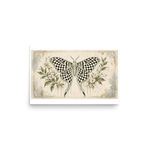 Checkerboard Luna Moth - Botanical Specimen Art Print