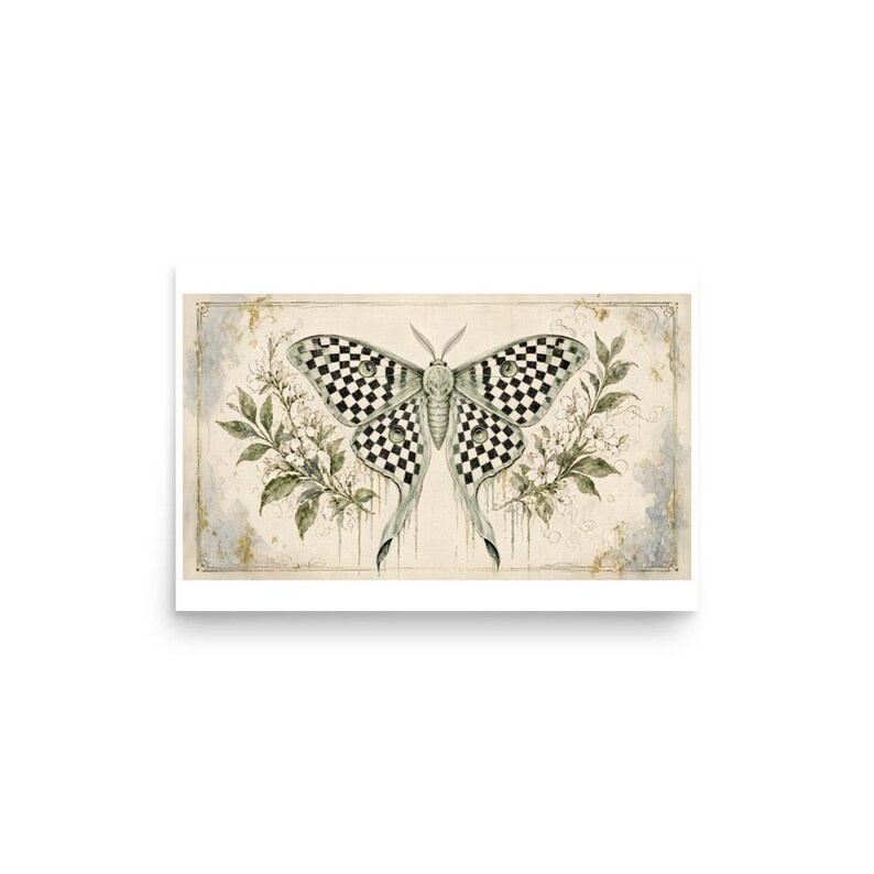 Checkerboard Luna Moth - Botanical Specimen Art Print