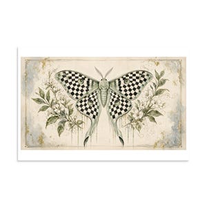 Checkerboard Luna Moth - Botanical Specimen Art Print
