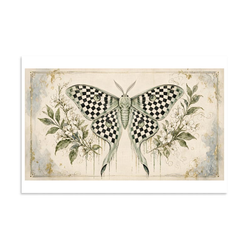 Checkerboard Luna Moth - Botanical Specimen Art Print