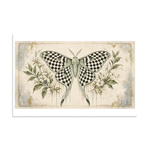Checkerboard Luna Moth - Botanical Specimen Art Print