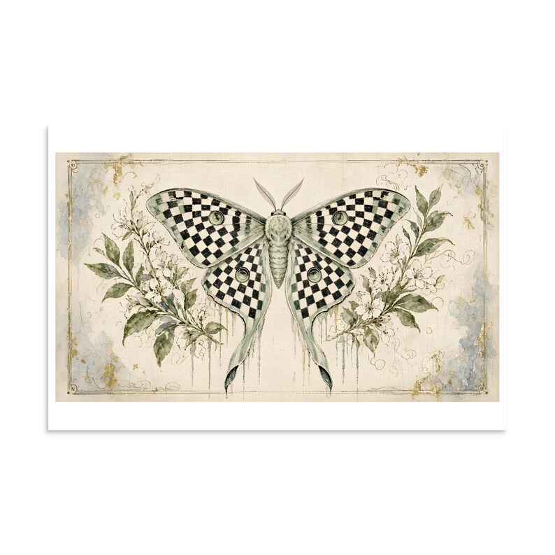 Checkerboard Luna Moth - Botanical Specimen Art Print