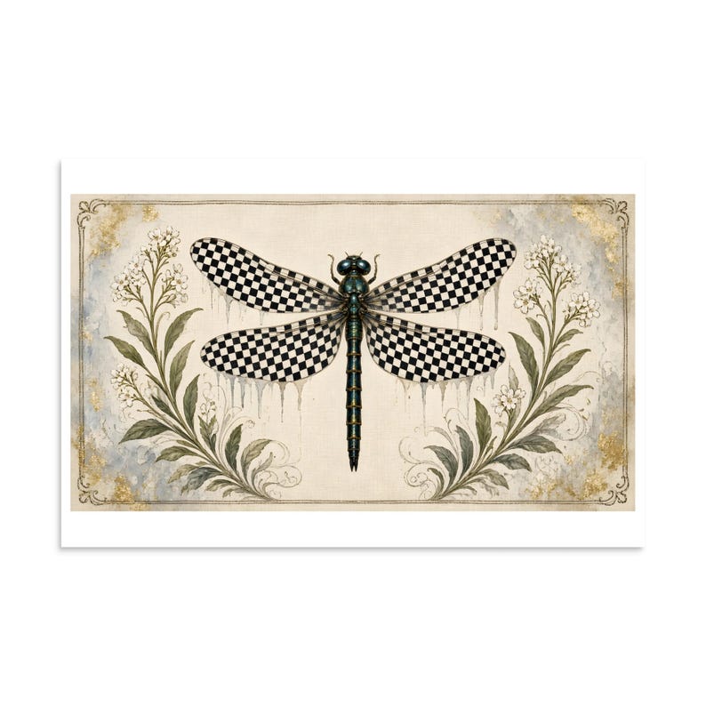 Checkerboard Dragonfly - Botanical Specimen Art Print