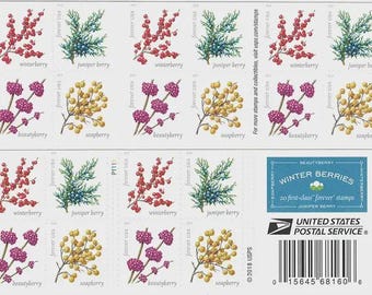 Puede incluir: Una hoja de 20 sellos Forever del Servicio Postal de los Estados Unidos con ilustraciones de winterberry, juniper berry, beautyberry y soapberry. Los sellos incluyen etiquetas de texto para cada planta y el logotipo de USPS con un código de barras.