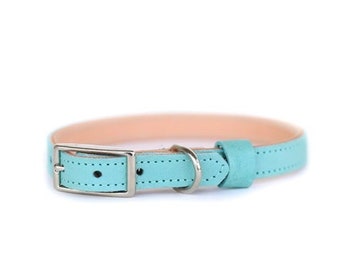 Collar de gato o perro pequeño // Teal // Etiqueta de identificación opcional