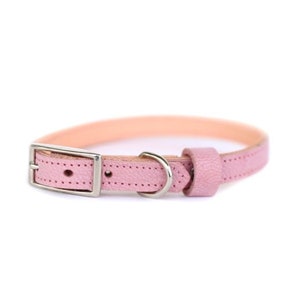 Cat or Small Dog Collar // Rose // Optional ID Tag