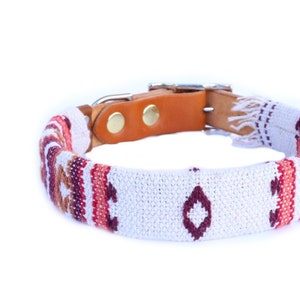 Hundehalsband Hülle / Hundehalsband /