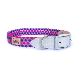 Dog Collar - Purple Confetti  - Martingale or Buckle Style