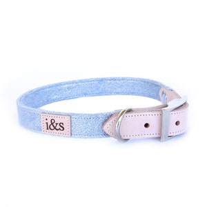 Dog Collar - Silver Shimmer - Martingale or Buckle Style