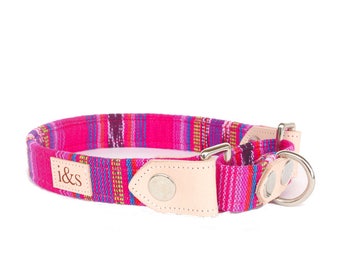 Dog Collar - Martingale - The Elodie Martingale