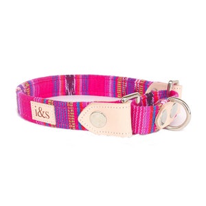 Dog Collar - Martingale - The Elodie Martingale