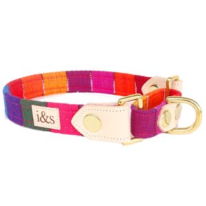 Dog Collar - Martingale - The Rainbow Martingale