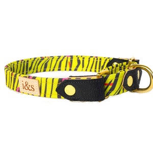 Dog Collar - Martingale - The Biggie