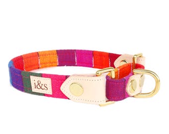 Dog Collar - Martingale - The Rainbow Martingale