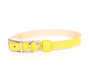 Cat or Small Dog Collar // Electric Yellow // Optional ID Tag