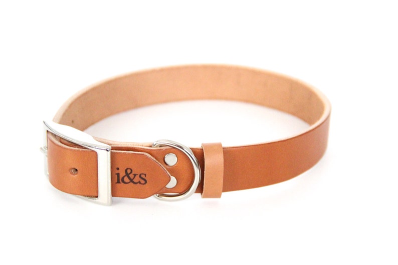 Tan Leather Dog Collar image 1